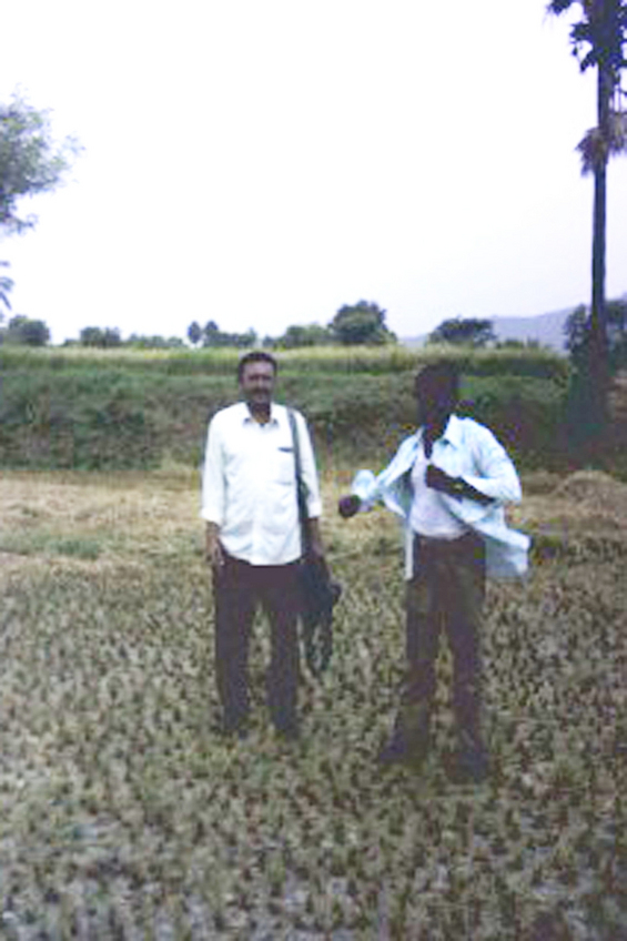 Forest workers to the west of the point