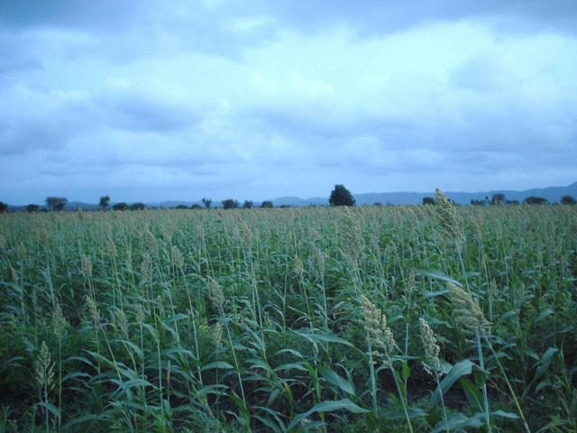 Looking South from 15N76E