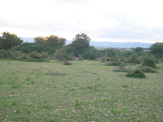 Western View (Porumamill town as back drop)