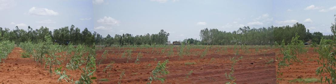 Panoramic view from confluence