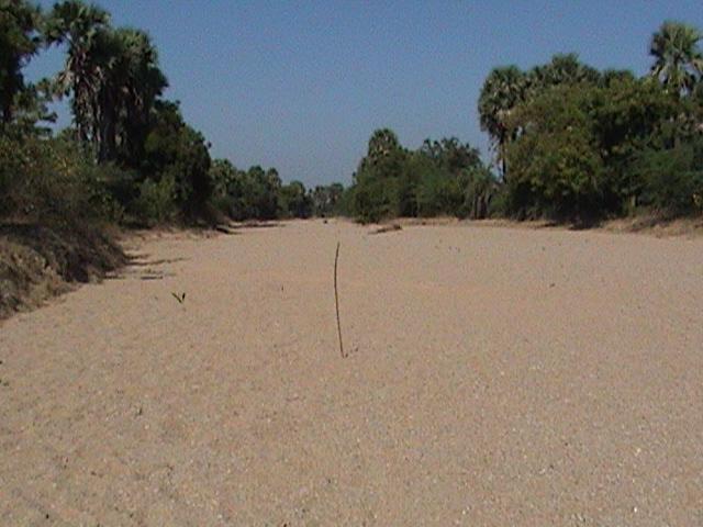 A stick put at the confluence point - photo taken from East side of it - Wsst view