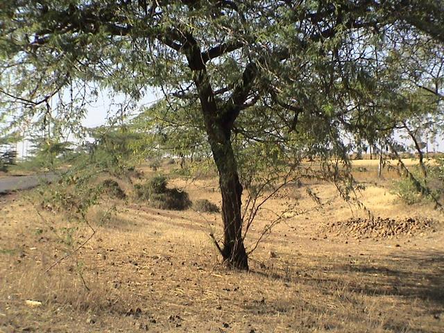 Confluence point