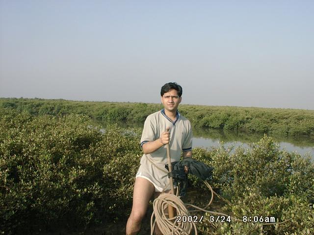 Crossing a water channel in the marsh