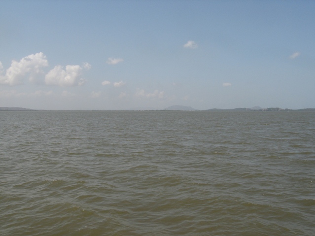 From the confluence point looking South