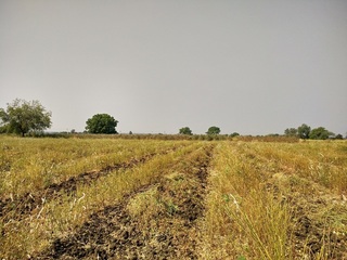 #1: Pic of confluence facing North direction