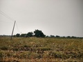 #3: Pic of confluence facing South direction