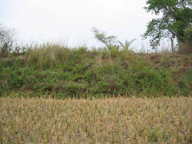 Looking North From Confluence