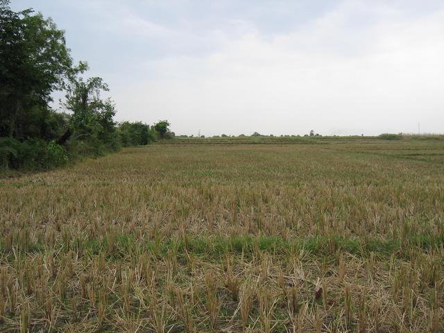 Looking East From CP