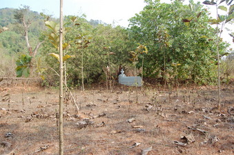 #1: General view of the Confluence Point