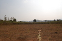 #5: Southern View from the Confluence Point