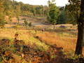 #5: walking in to a valley of dormant rice patties on the way back