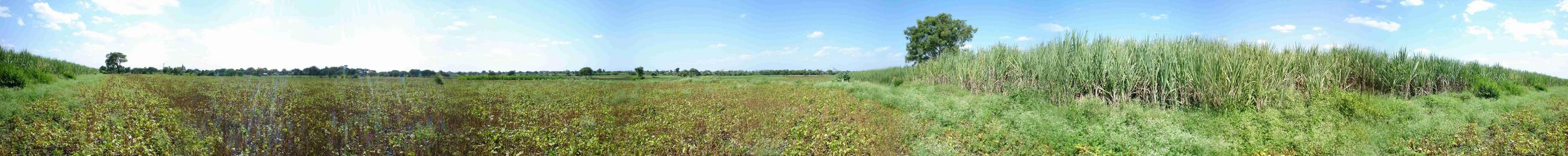 Panorama clockwise from South at 20N74E