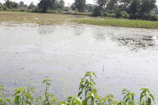 #1: General view of the confluence, the pond