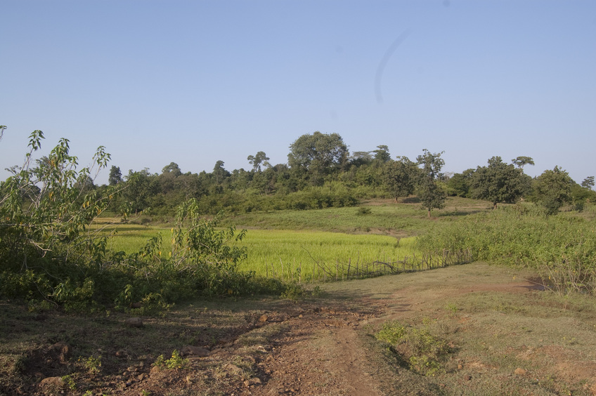 General    view  of  the   Confluence  Point