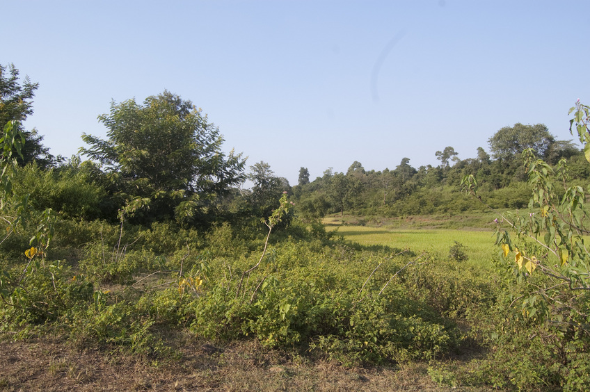 Southern View from the Confluence Point