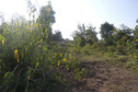 #2: Eastern view  from the Confluence Point