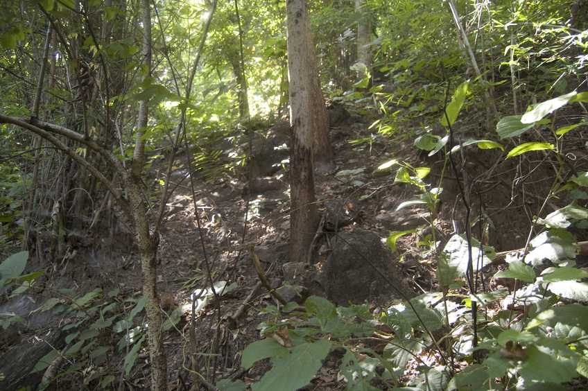 View  of  the West of the Confluence Point 