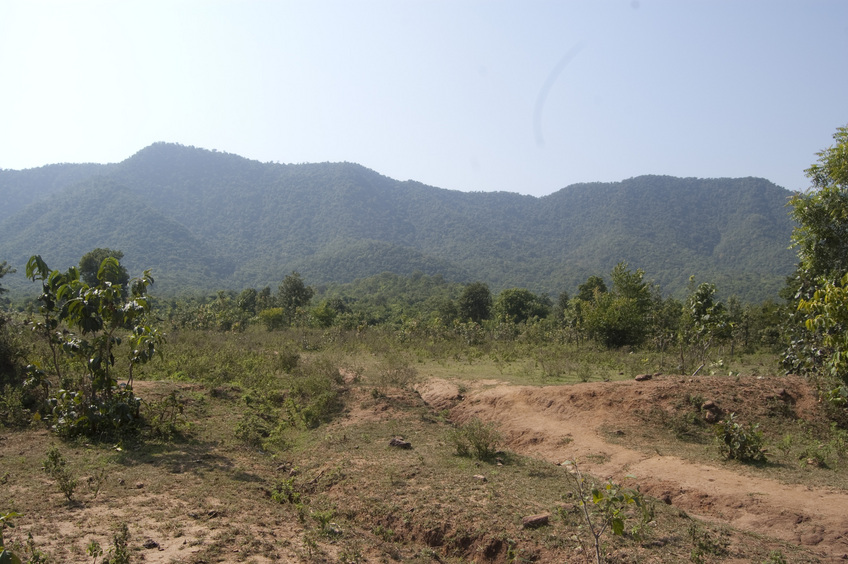 View of the CP hills