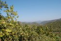 #4: Northern view of the Confluence Point 