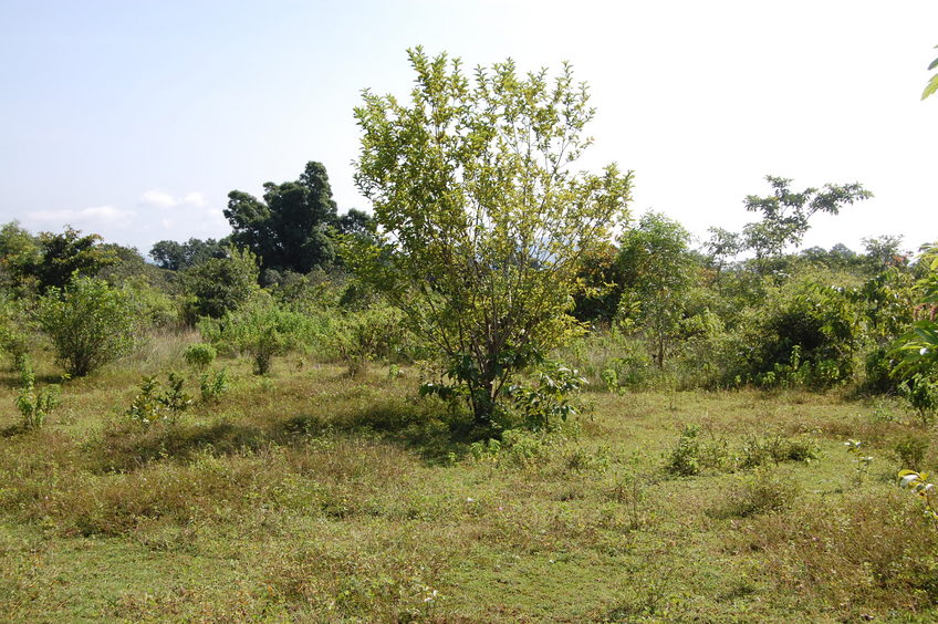 View  of  the Confluence Point