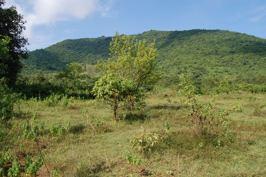 North  view from the Confluence Point