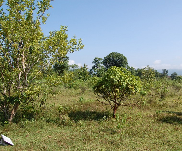 South view from the Confluence Point