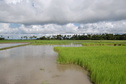 #4: North  view from the Confluence Point