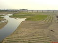 #8: Crops growing in the river bed will need to be harvested befor the monsoon arrives