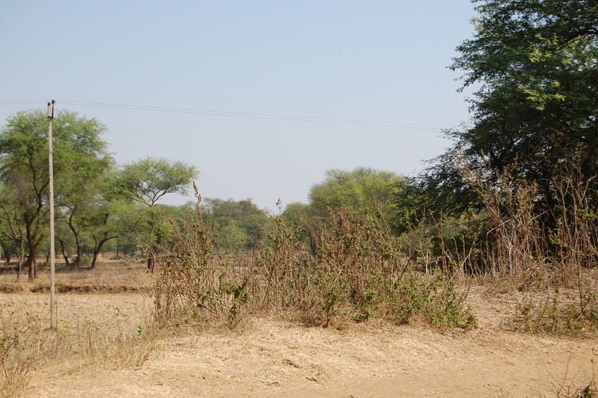 General    view  of  the   Confluence  Point