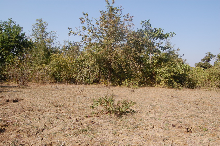 Northern view of the Confluence Point 