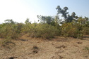 #3: View  of  the West of the Confluence Point 