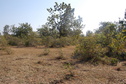 #5: Southern View from the Confluence Point