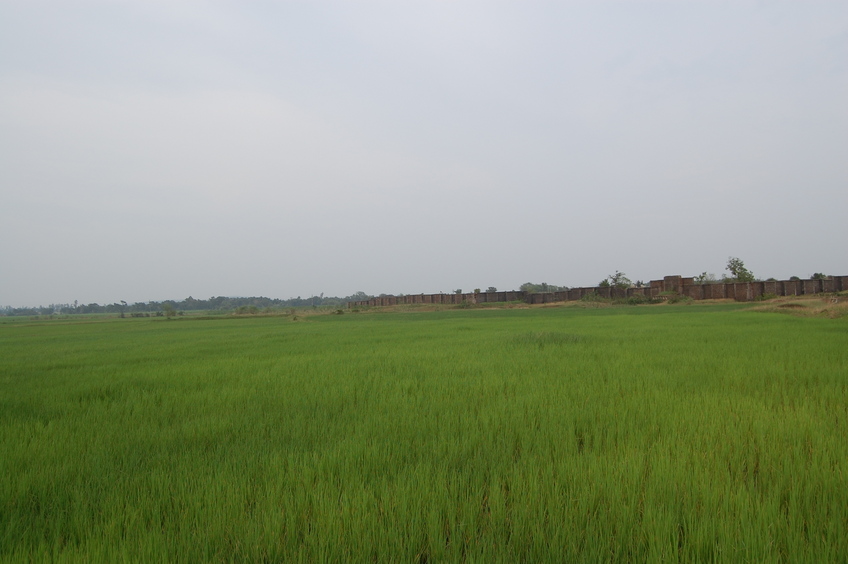 Eastern view  from the Confluence Point