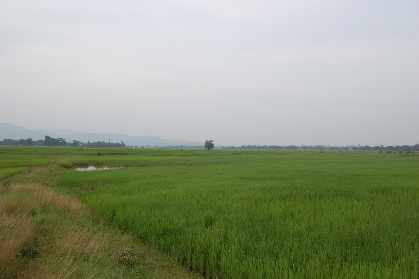 Northern view of the Confluence Point 