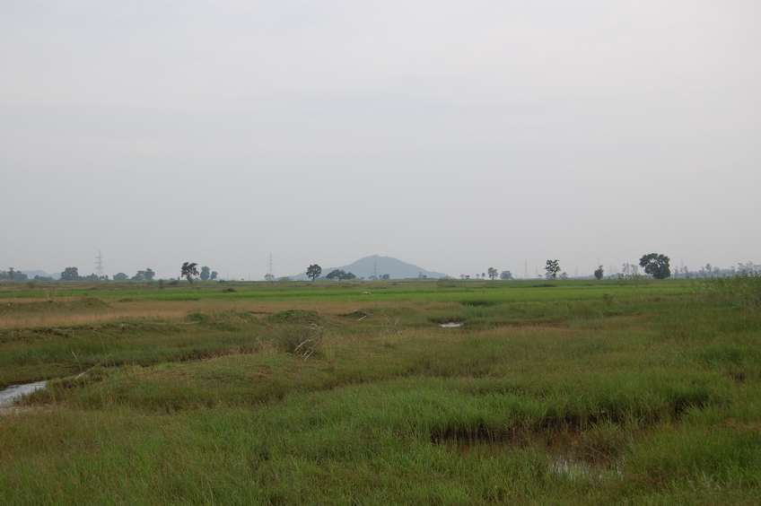 Southern View from the Confluence Point