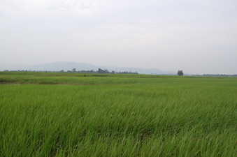 #1: General    view  of  the   Confluence  Point