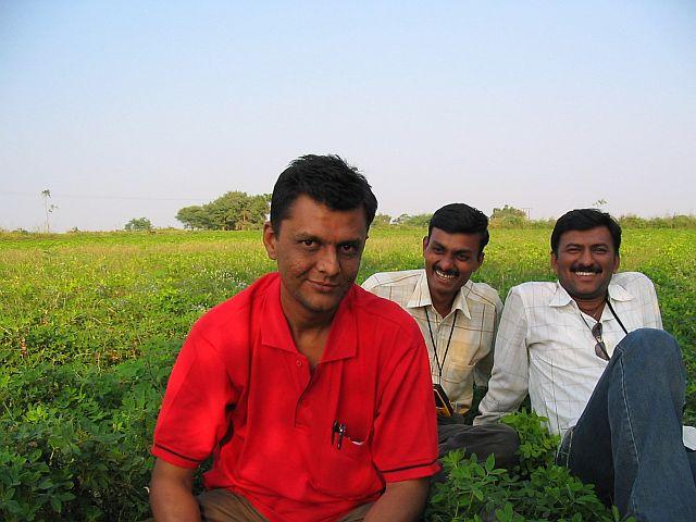 Resting at the adjacent ground nut field