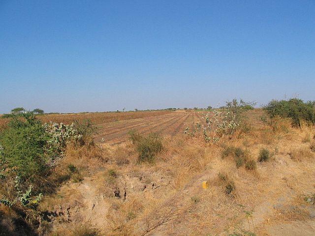 General view of confluence