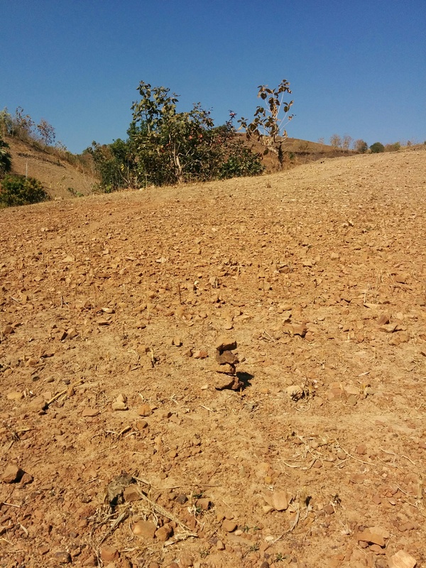 The DCP (stones stacked by me to mark)