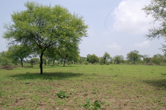 #1: General    view  of  the   Confluence  Point