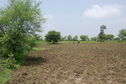 #4: Northern view of the Confluence Point 