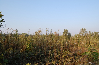 #1: General    view  of  the   Confluence  Point