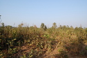 #2: Eastern view  from the Confluence Point