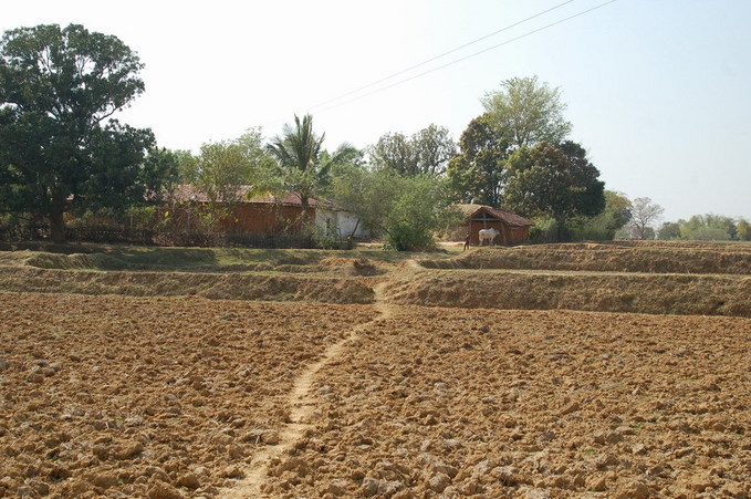 Path to the nearest houses