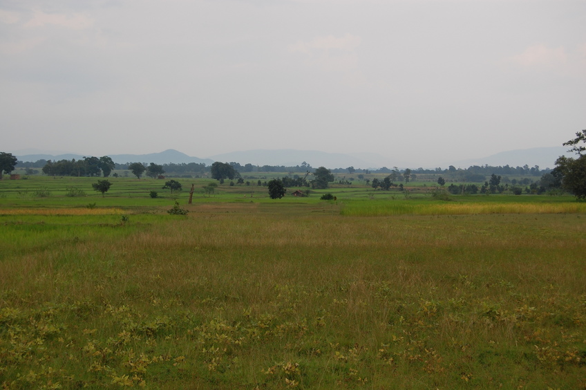 General View  from   the Confluence Point