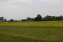 #5: South view from the Confluence Point