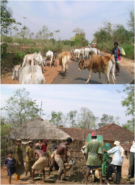 Village scenes while heading towards the CP