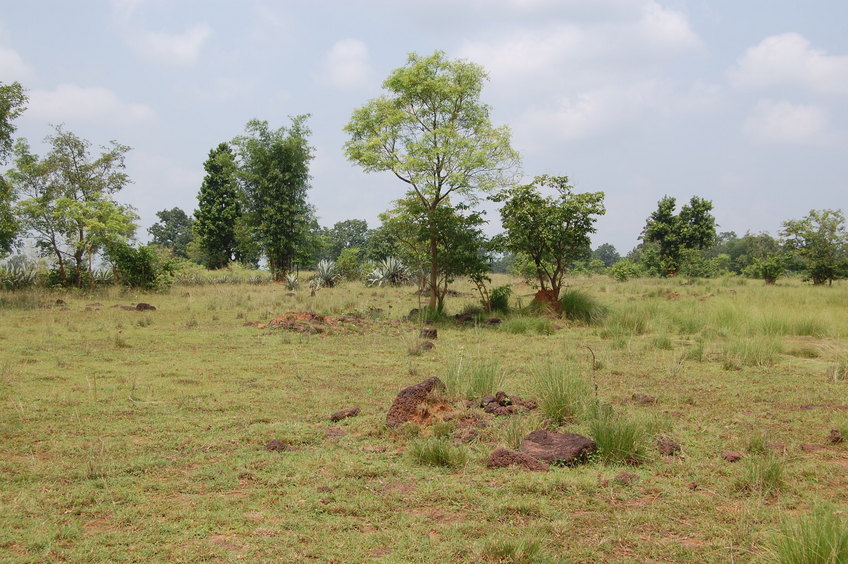 General View  from   the Confluence Point