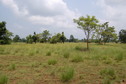 #3: West view  from  the Confluence Point