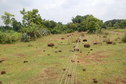 #8: Rope making  by the locals